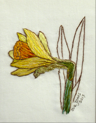 daffodil-bud-mini